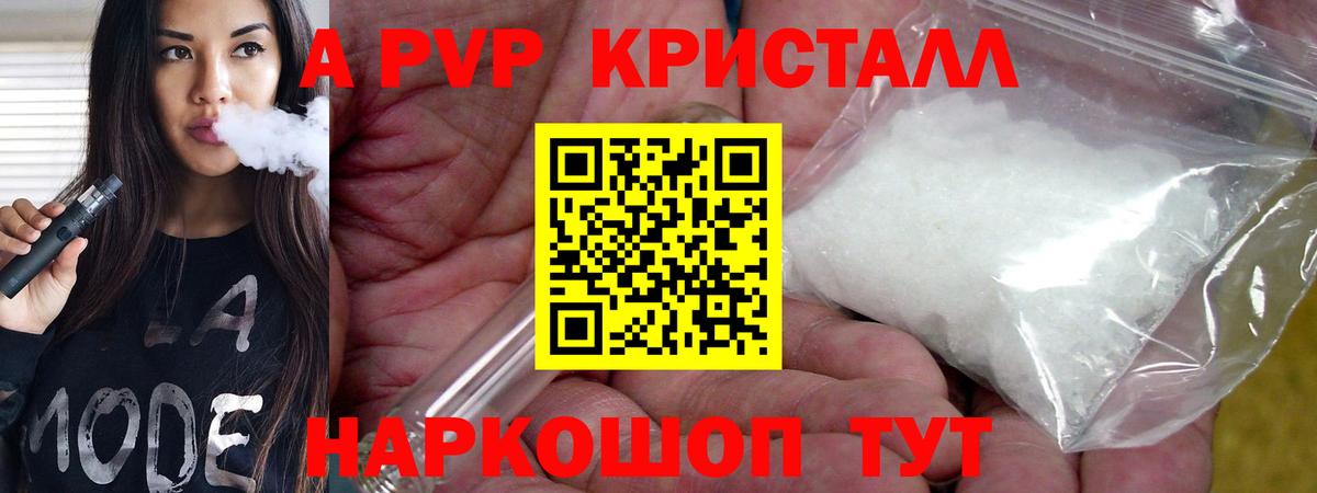 A PVP СК КРИС Ставрополь