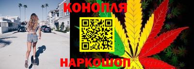 крисы Жуковский