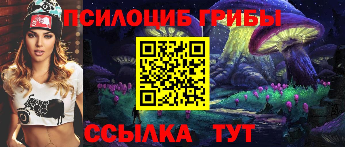 Галлюциногенные грибы Cubensis Ставрополь