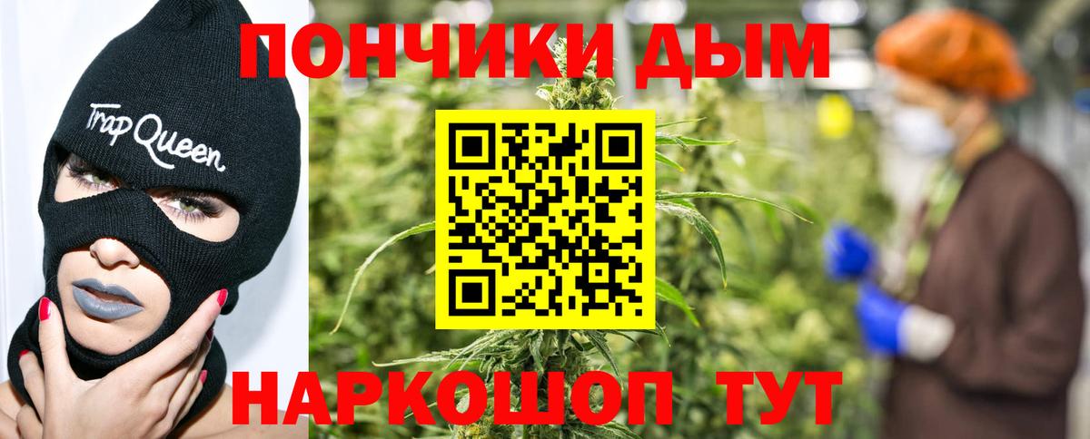 Бошки Шишки марихуана  Конопля конопля  Конопля сатива  Ставрополь  Марихуана план  Вход с VPN 